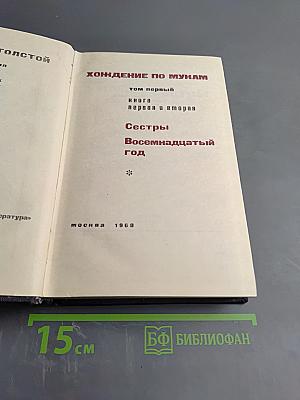 Хождение по мукам