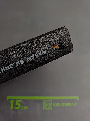 Хождение по мукам