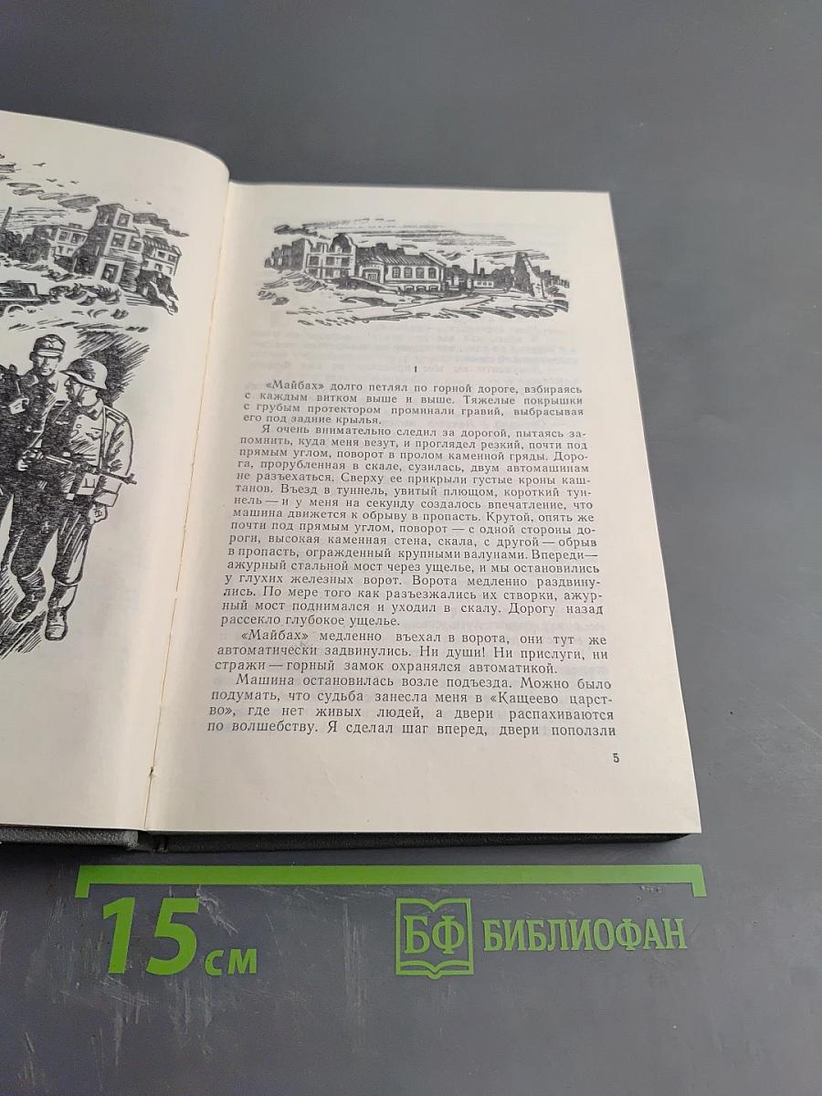 Из жизни полковника Дубровина