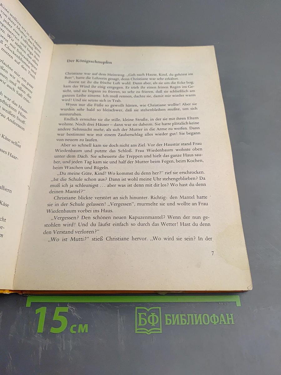 Lesebuch 3 (для 3 класса начальной школы)