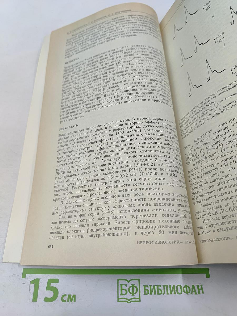 Нейрофизиология. Том 24, № 6