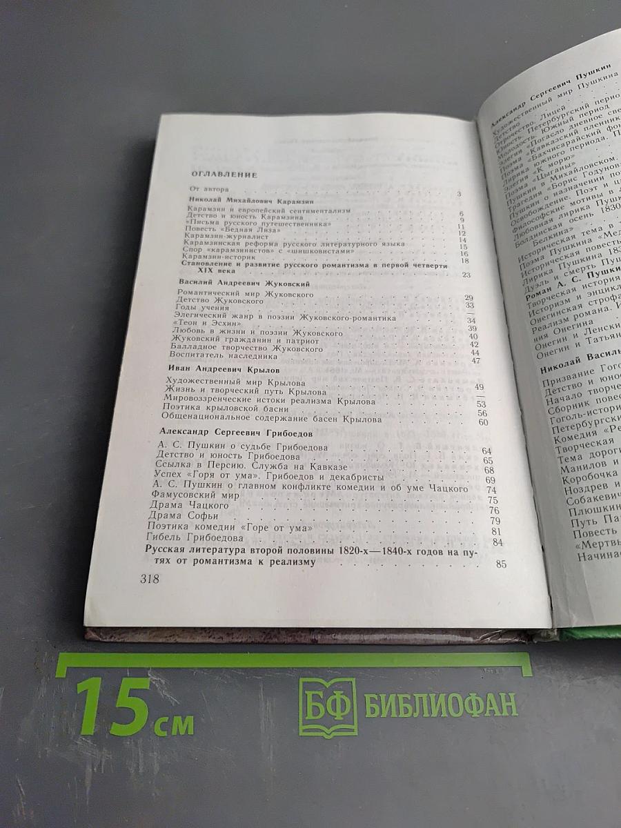 Русская литература XIX века 10 класс Часть 1