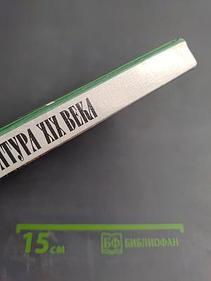 Русская литература XIX века 10 класс Часть 1