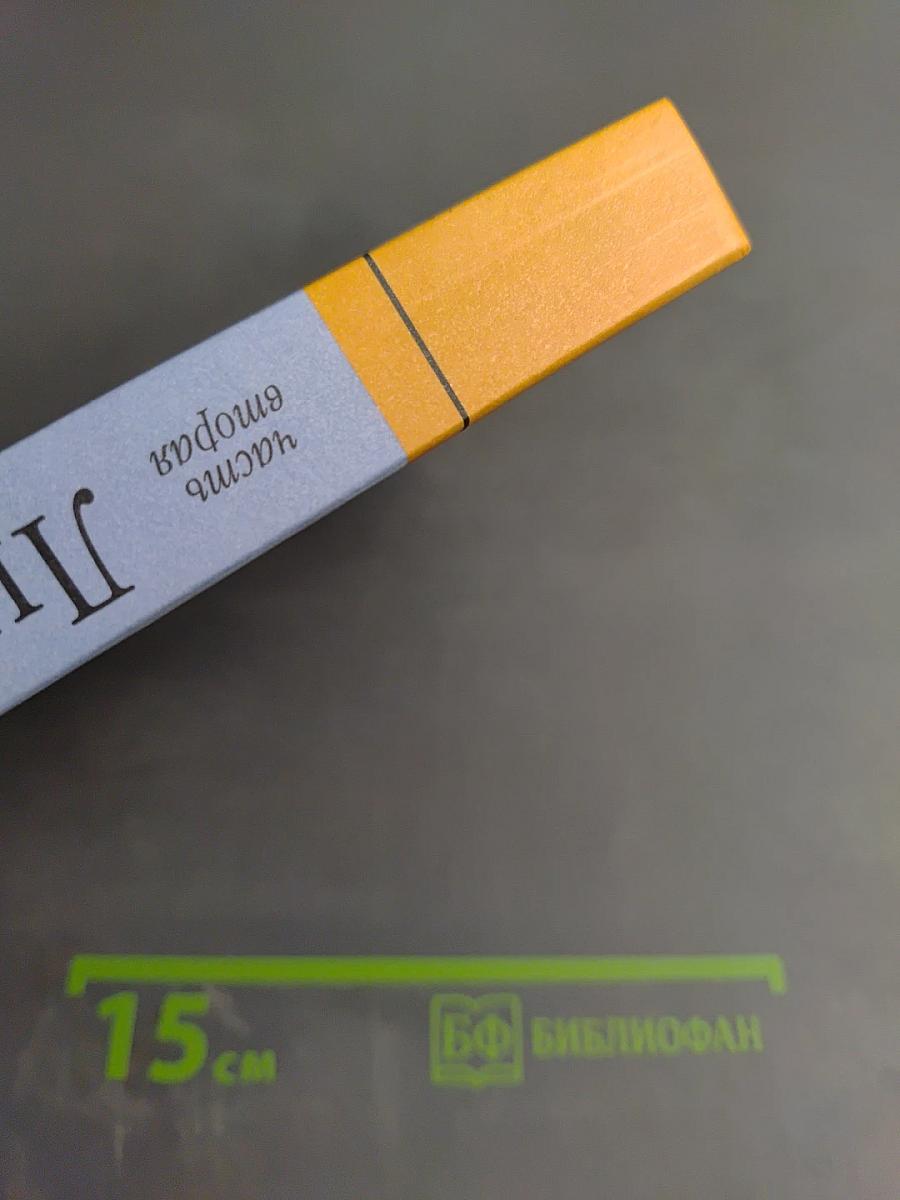 Литература 11 класс часть вторая