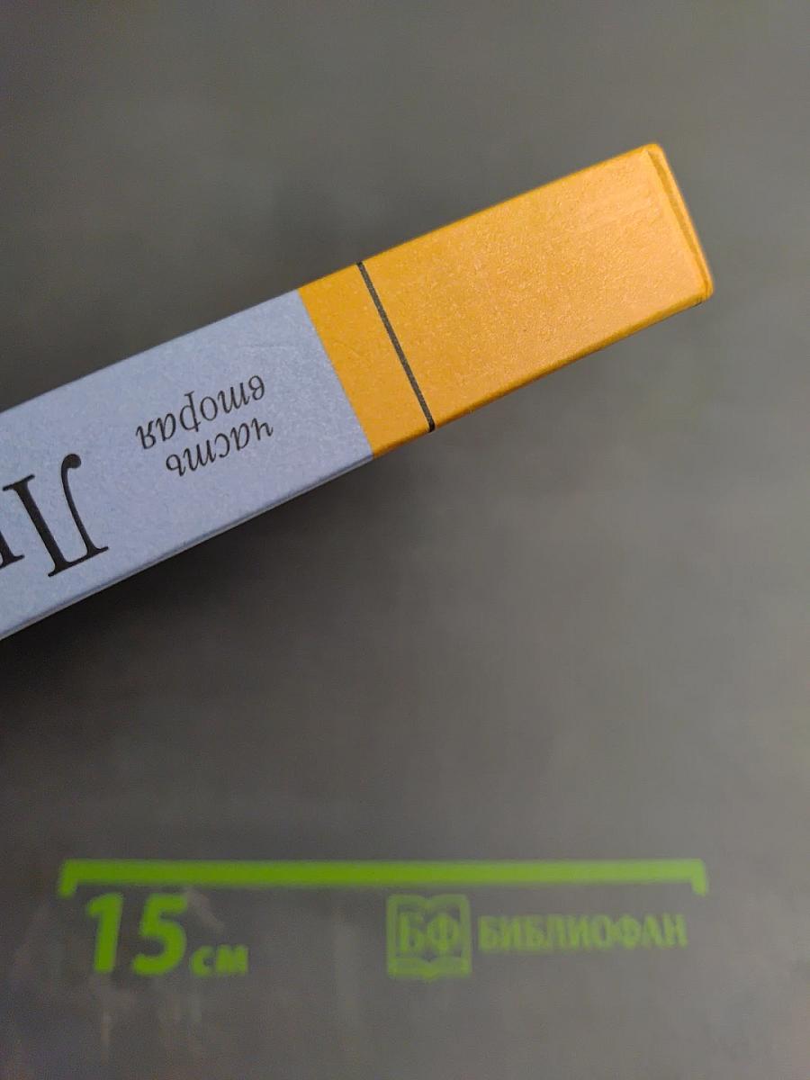 Литература 11 класс, часть вторая