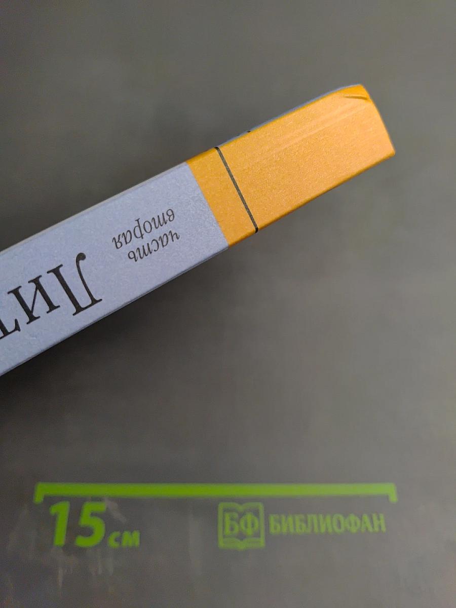 Литература 11 класс, часть вторая