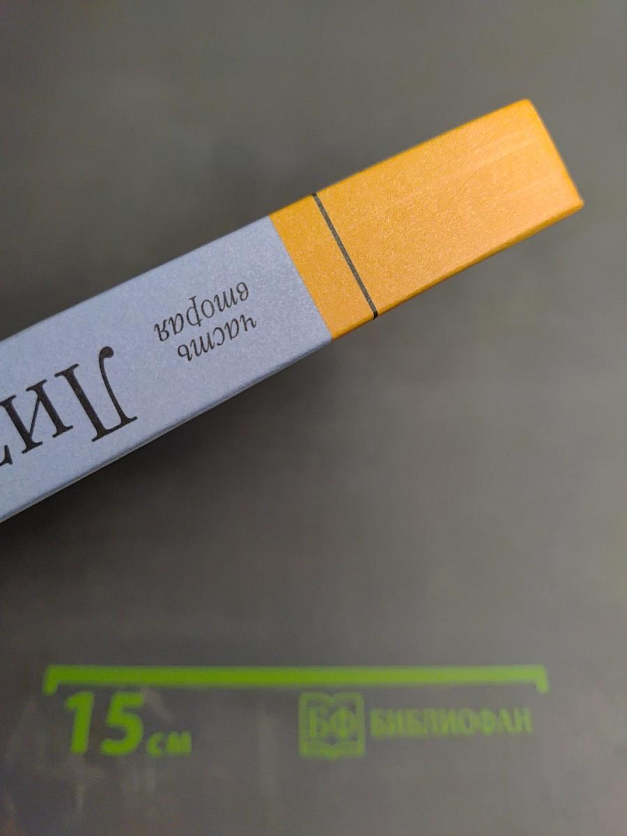 Литература 11 класс, часть вторая