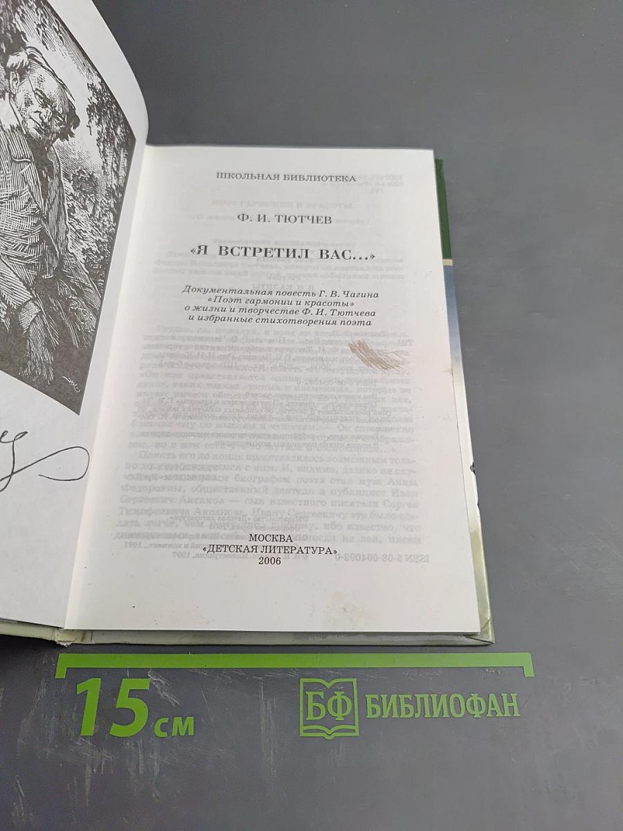 Я встретил Вас... (Поэт гармонии и красоты)