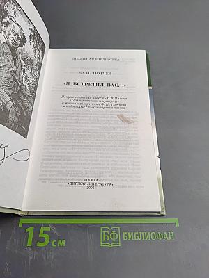 Я встретил Вас... (Поэт гармонии и красоты)