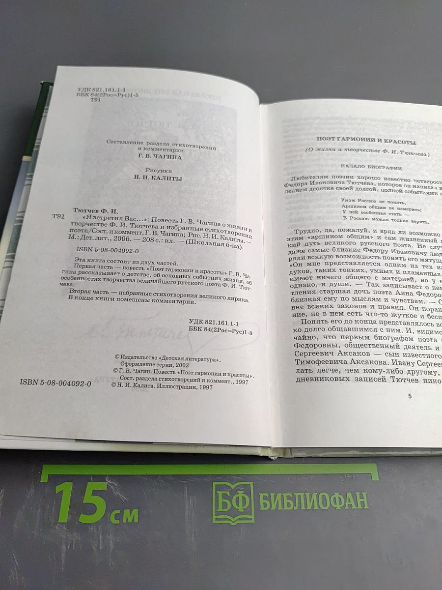 Я встретил Вас... (Поэт гармонии и красоты)