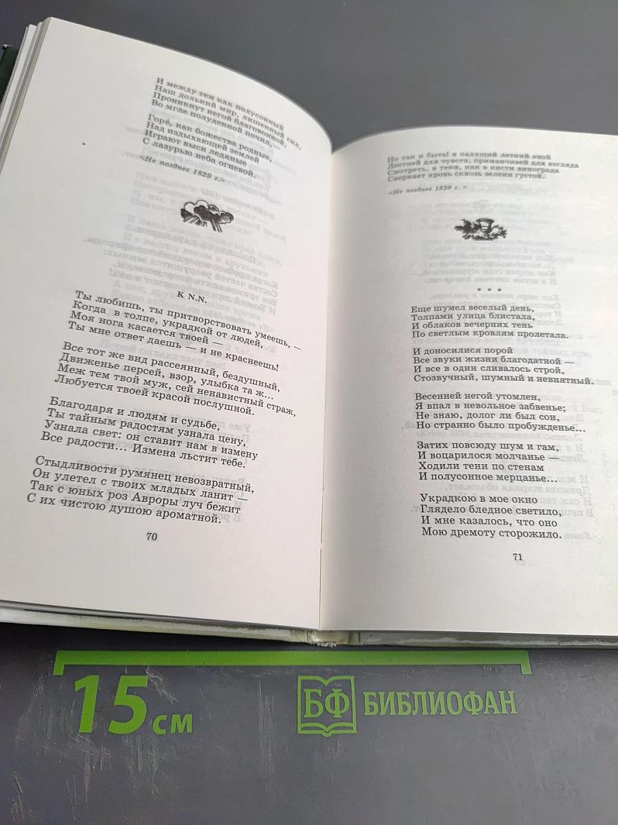 Я встретил Вас... (Поэт гармонии и красоты)