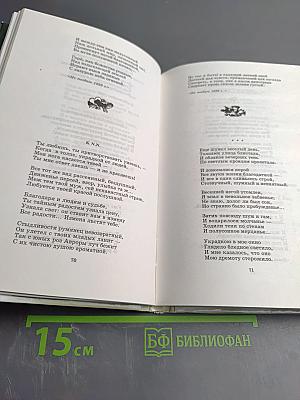 Я встретил Вас... (Поэт гармонии и красоты)