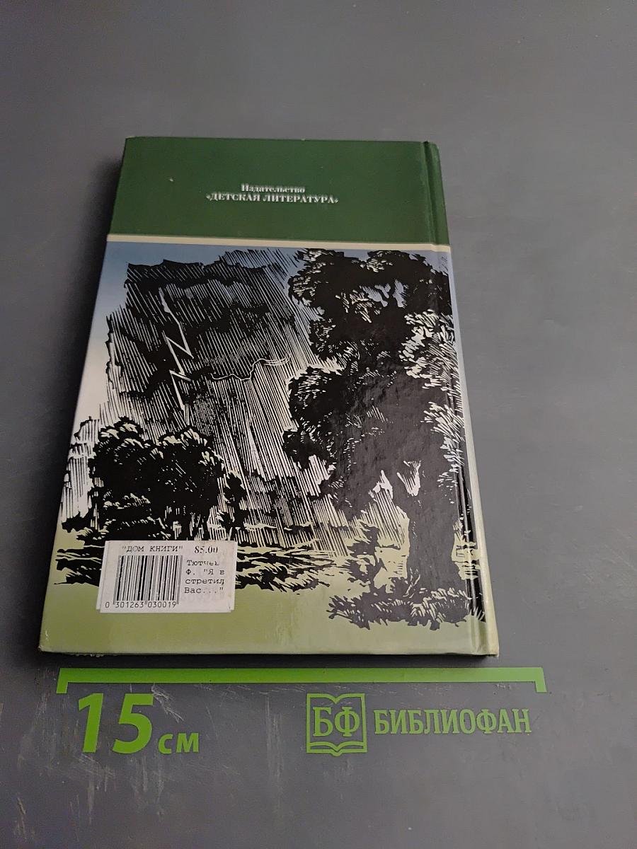 Я встретил Вас... (Поэт гармонии и красоты)