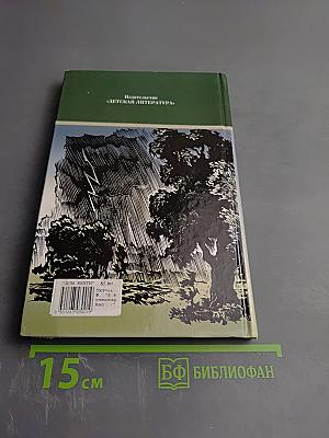 Я встретил Вас... (Поэт гармонии и красоты)