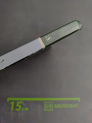 Я встретил Вас... (Поэт гармонии и красоты)