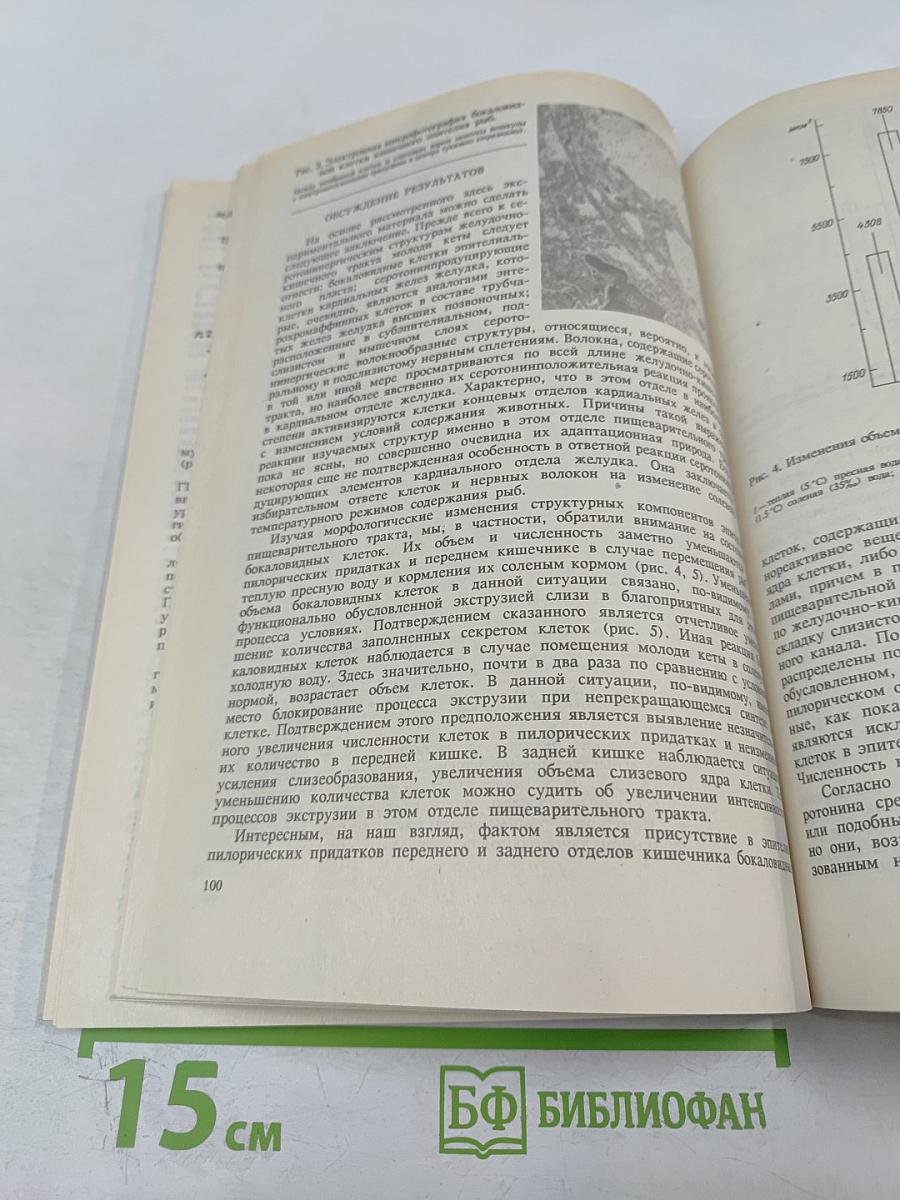 Физиологический журнал имени И.М. Сеченова. Том 78, № 10