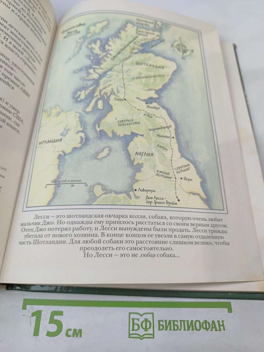 Лесси, вернись!