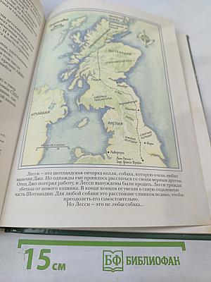 Лесси, вернись!