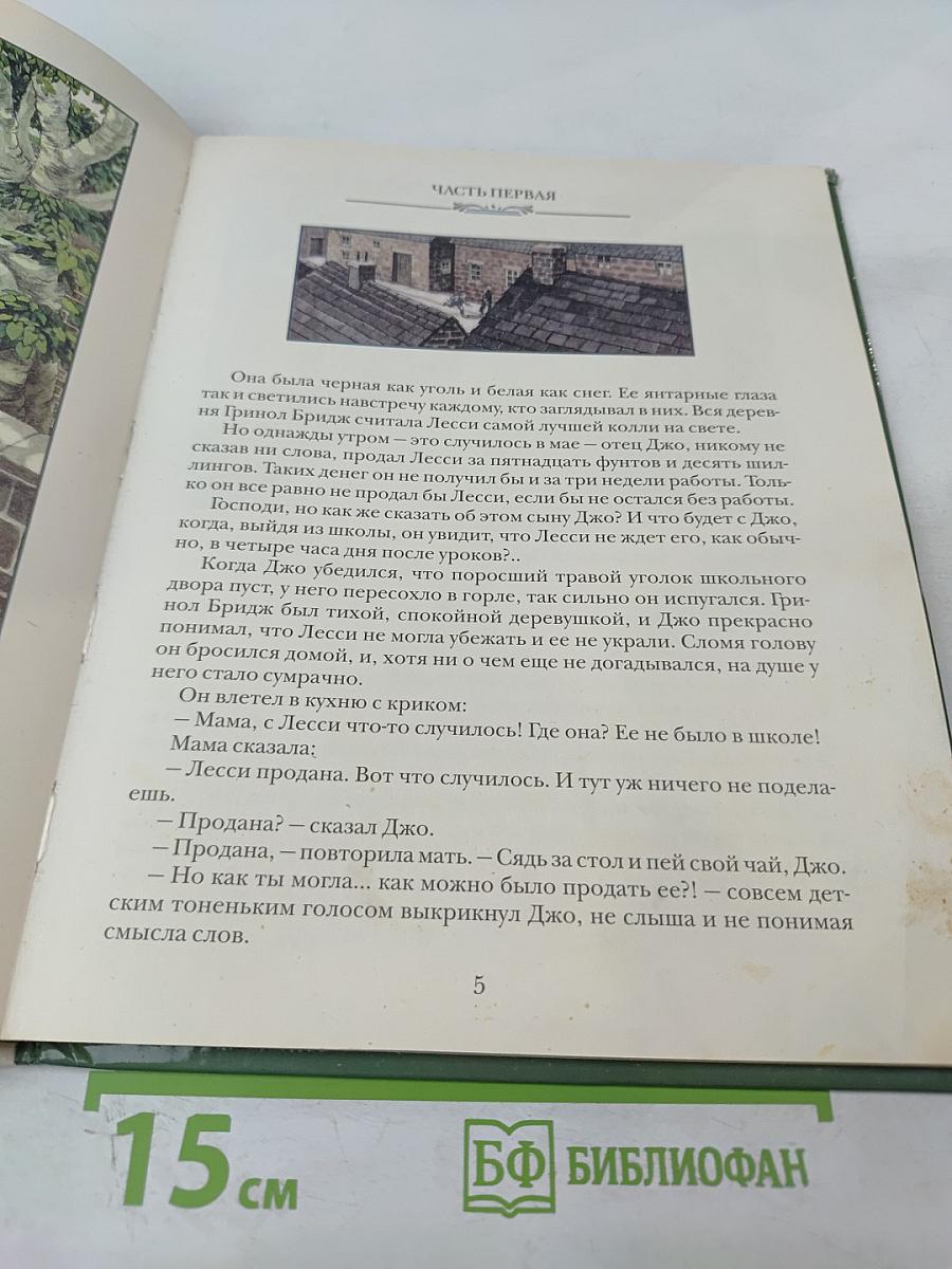 Лесси, вернись!