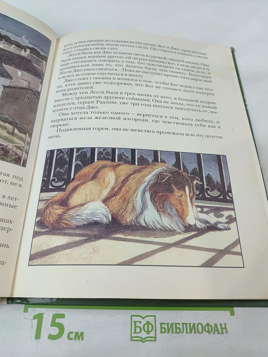 Лесси, вернись!