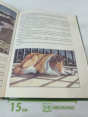 Лесси, вернись!