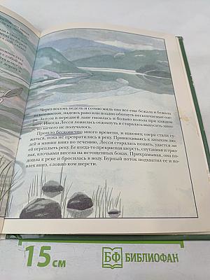 Лесси, вернись!