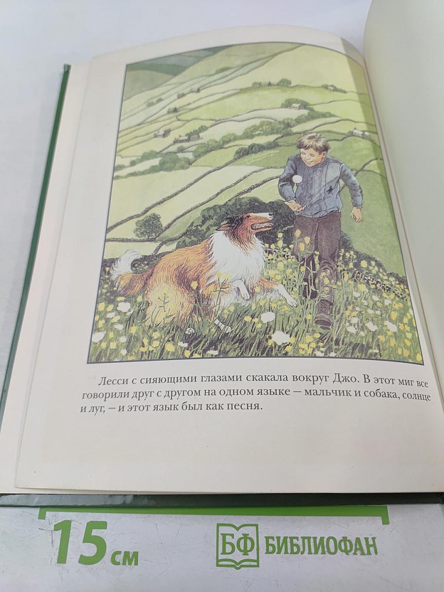 Лесси, вернись!