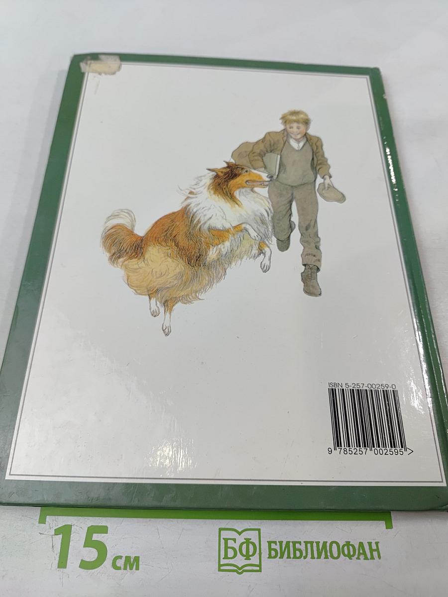 Лесси, вернись!