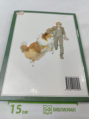 Лесси, вернись!