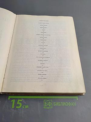 Школа юннатов: Твой огород