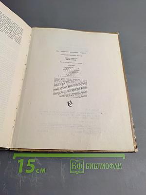 Школа юннатов: Твой огород