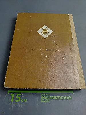 Школа юннатов: Твой огород