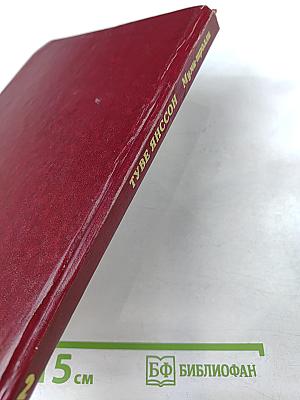 Мемуары Папы Муми-тролля. Опасное лето