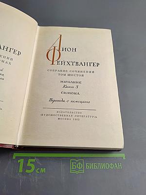 Изгнание. Симона (Книга 3)
