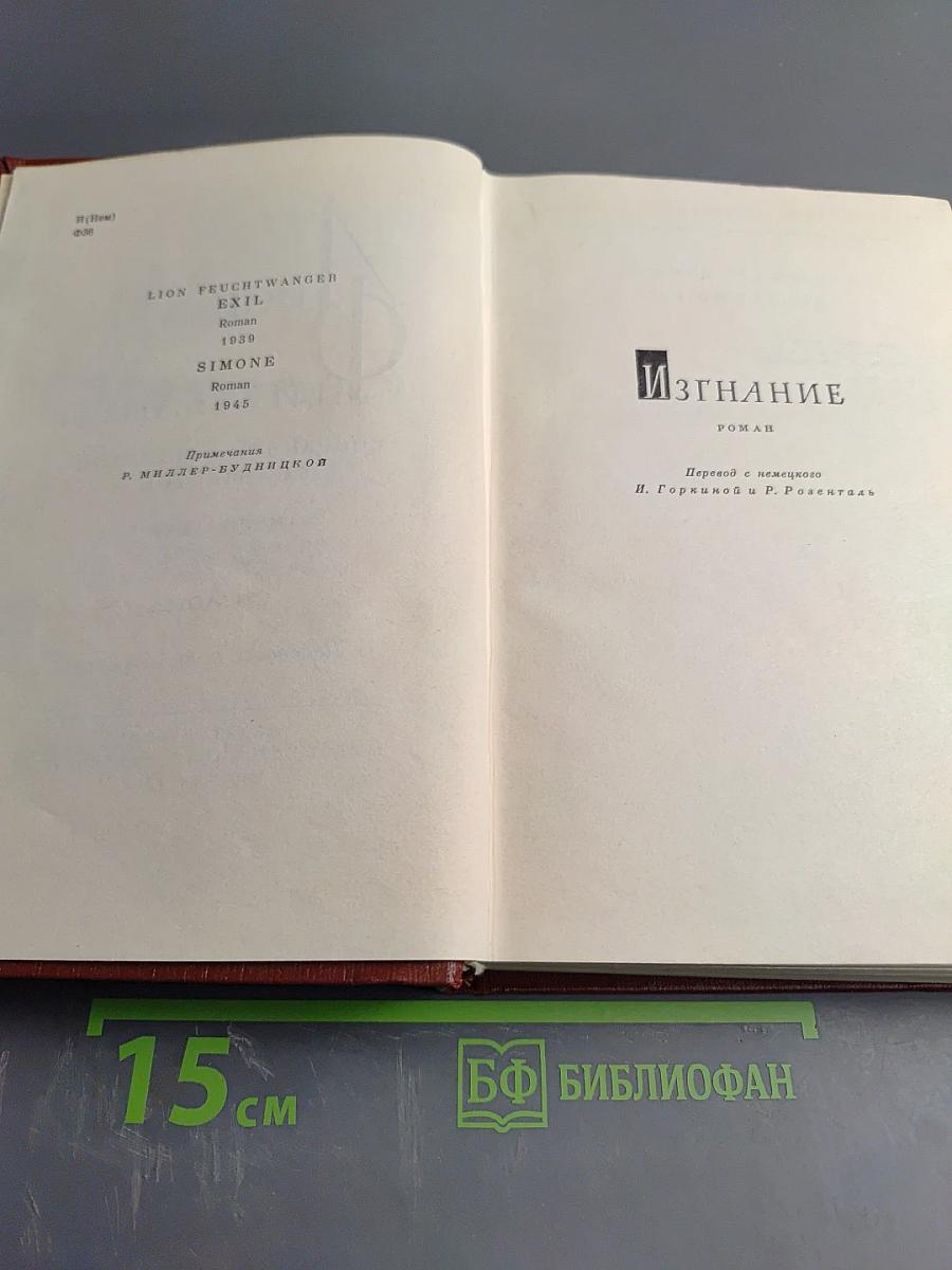 Изгнание. Симона (Книга 3)