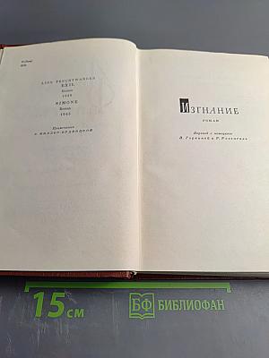 Изгнание. Симона (Книга 3)