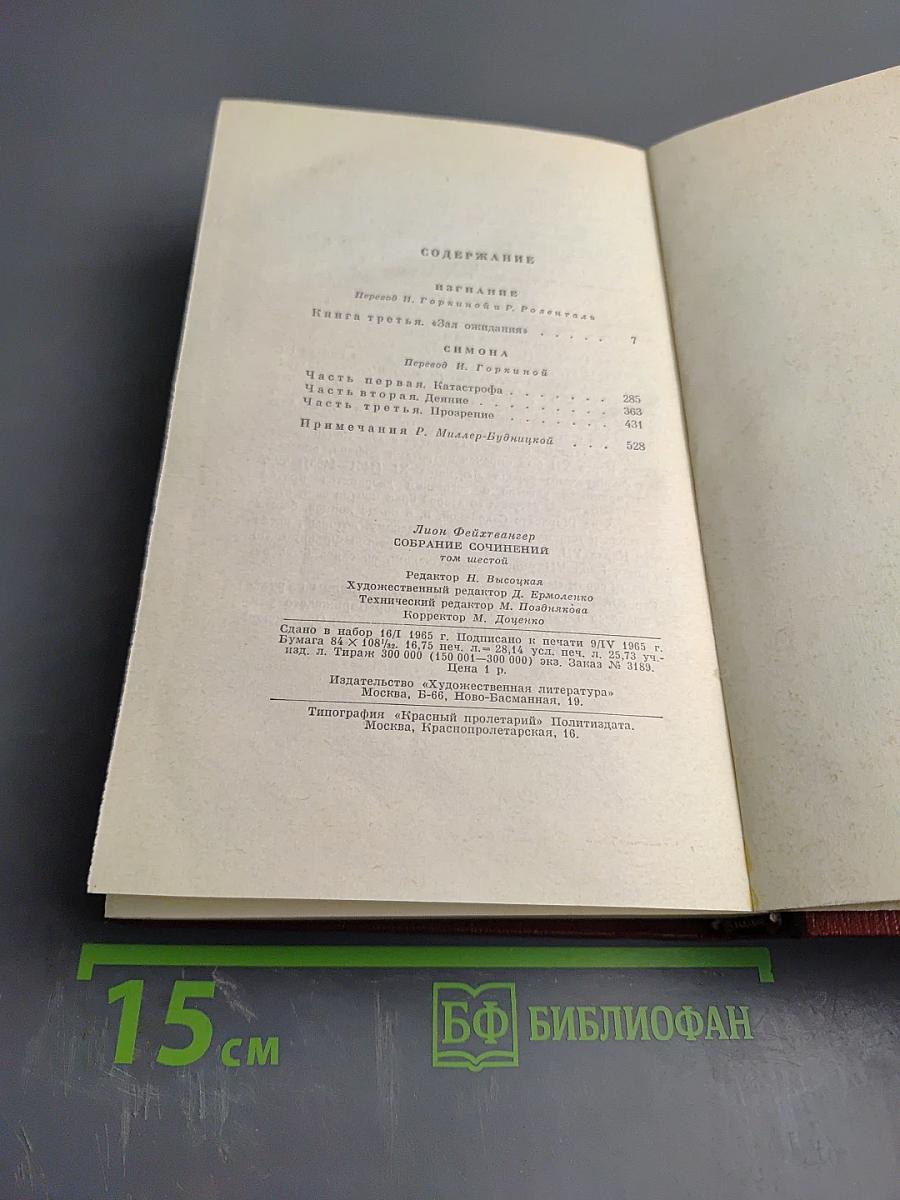 Изгнание. Симона (Книга 3)