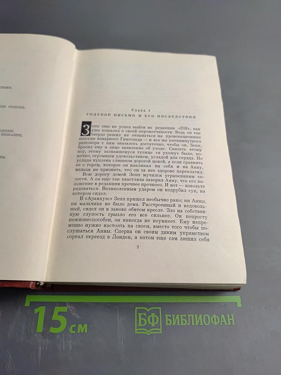 Изгнание. Симона (Книга 3)