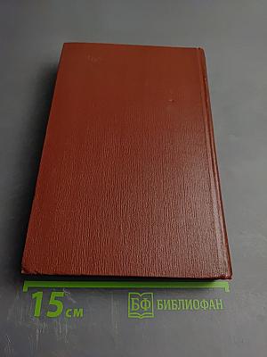 Изгнание. Симона (Книга 3)