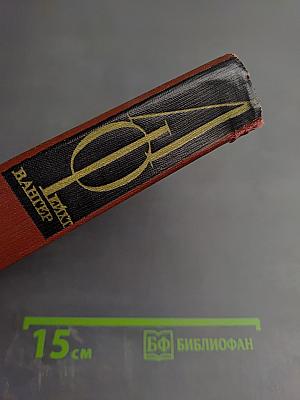 Изгнание. Симона (Книга 3)