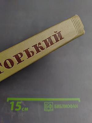 Собрание сочинений. Том 18. Литературные портреты