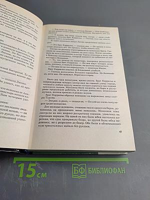 Пески времени. Незнакомец в зеркале