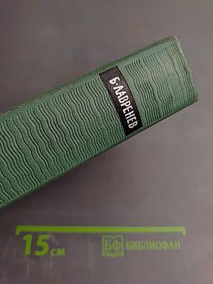 Собрание сочинений. Том второй: Повести и рассказы