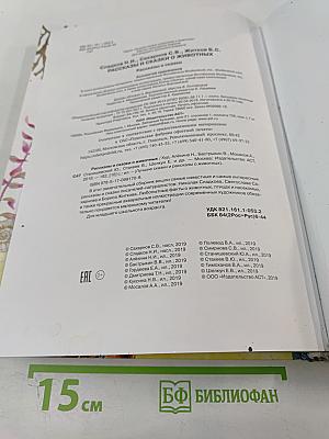 Рассказы и сказки о животных