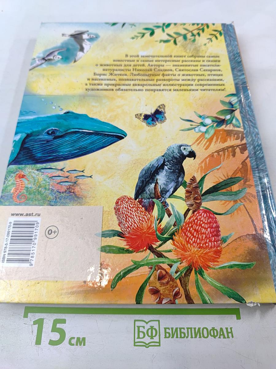 Рассказы и сказки о животных