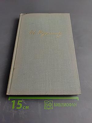 Собрание сочинений. Том 8: Повести и рассказы 1870-1882