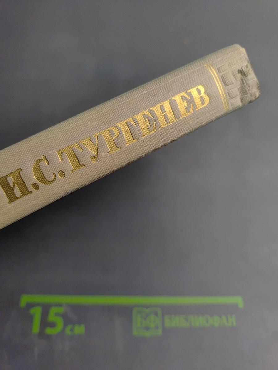 Собрание сочинений. Том 8: Повести и рассказы 1870-1882