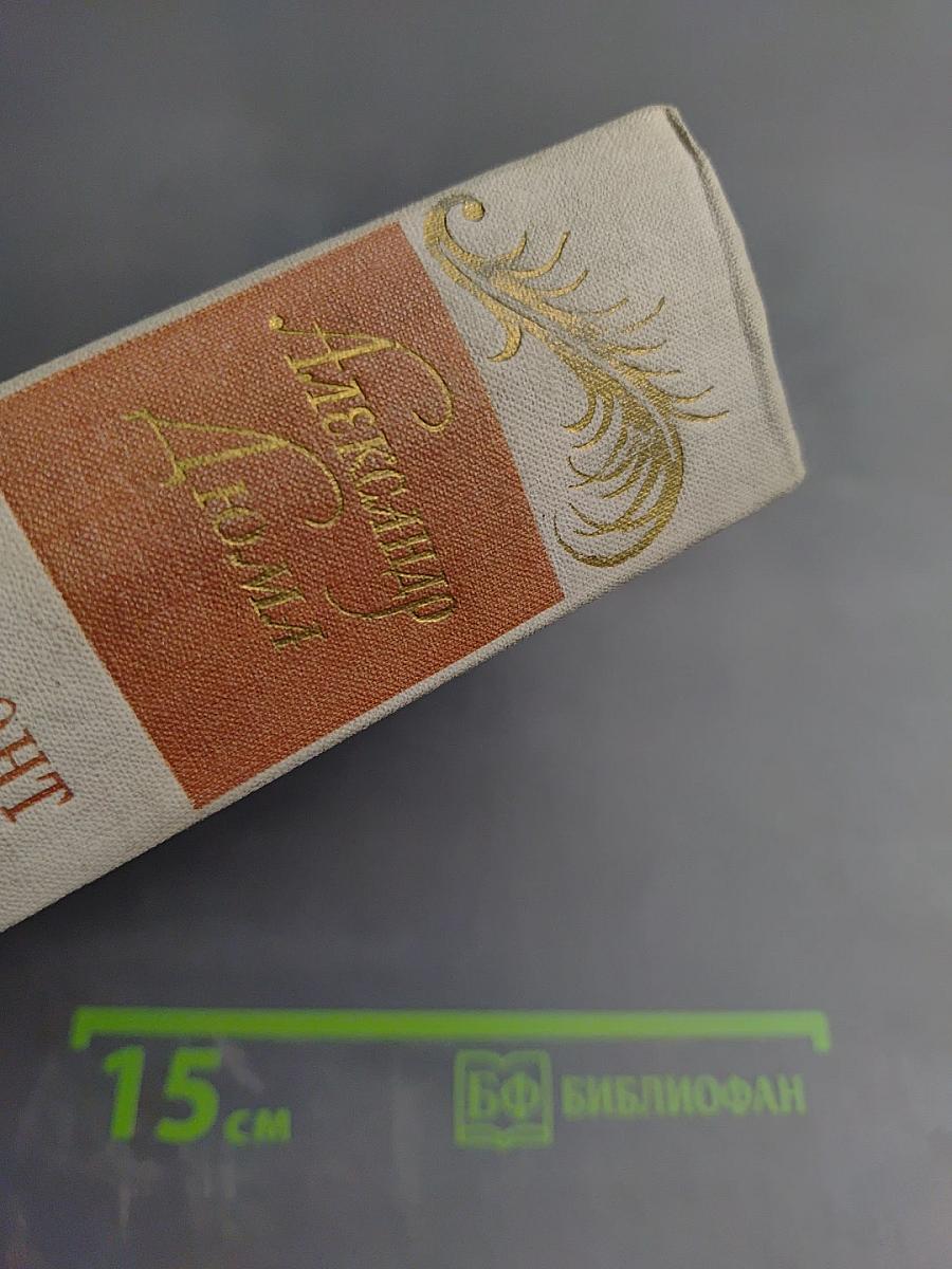 Виконт де Бражелон. Десять лет спустя, кн. 3