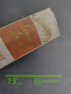 Виконт де Бражелон. Десять лет спустя, кн. 3