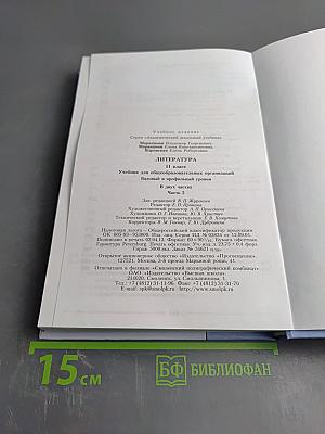 Литература 11 класс, часть вторая